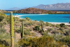 Baja-Excursion-Gonzaga-Bay