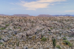Baja-Excursion-landscape-1