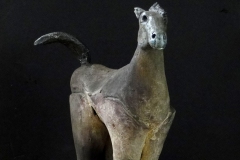 horse-front