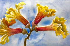 Hellen-Shafer-Garcia-art-7
