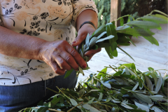 Willow-Basket-Workshop-weaving-the-basket-1