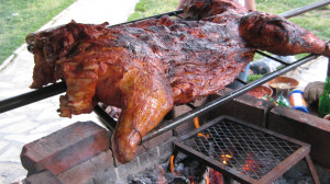 bbq spit