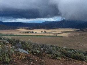 IMG_1826