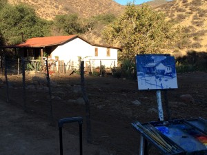 cathe demo cabin 1
